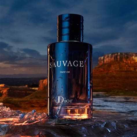 dior sauvage made in|best deal on dior sauvage.